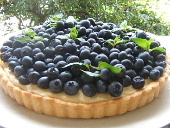 Blueberry Lemon Tart